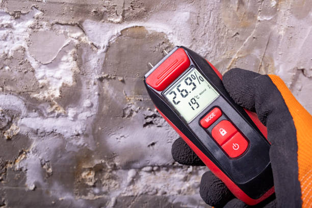 Best Best Mold Removal Companies  in Air Force Academy, CO